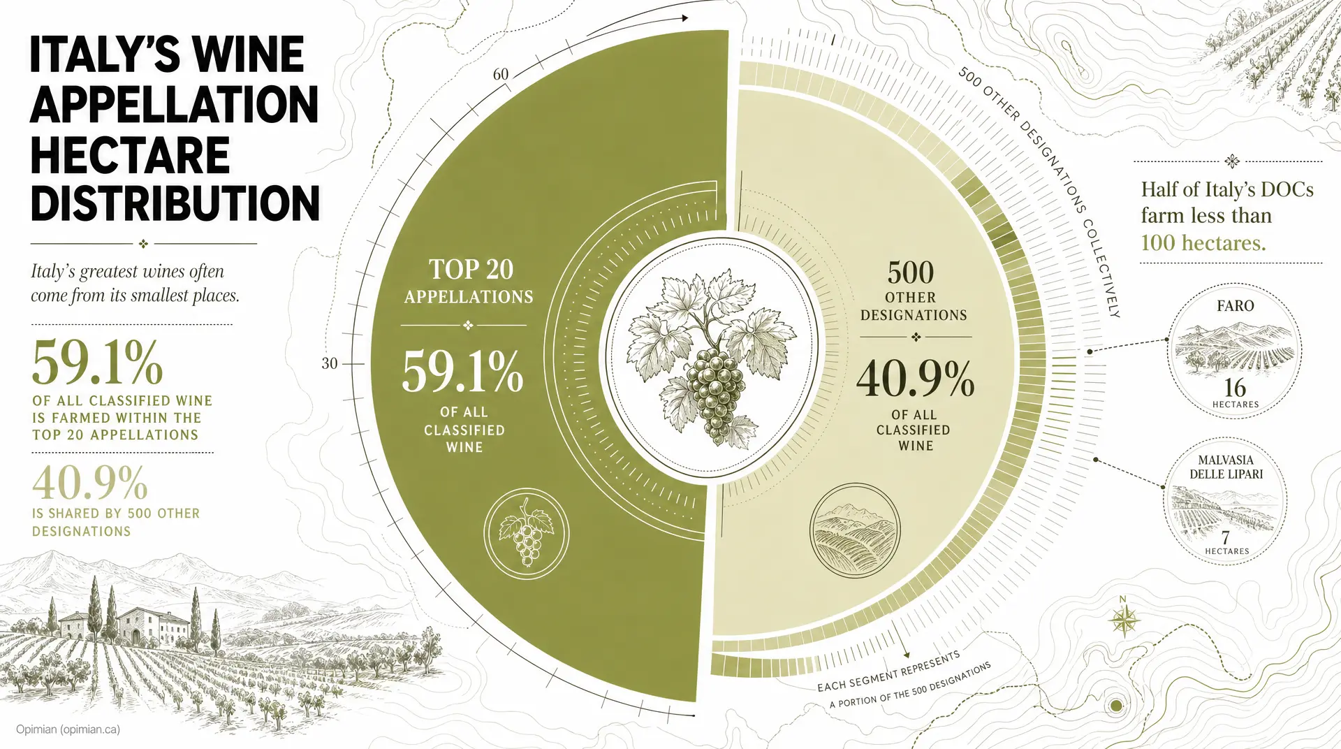 Infographic titled "Italy's Wine Appellation Hectare Distribution" showing top 20 appellations at 59.1% of classified wine and 500 other designations at 40.9%, with notes that half of Italy's DOCs farm less than 100 hectares for wine regions.