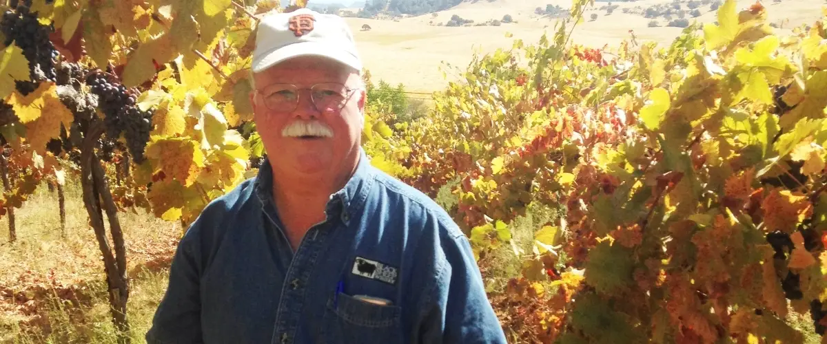 A man with glasses and a white mustache stands in a vineyard, wearing a white cap and a blue button-up shirt, surrounded by grapevines with golden and red leaves. Rolling hills and a distant landscape are visible in the background.