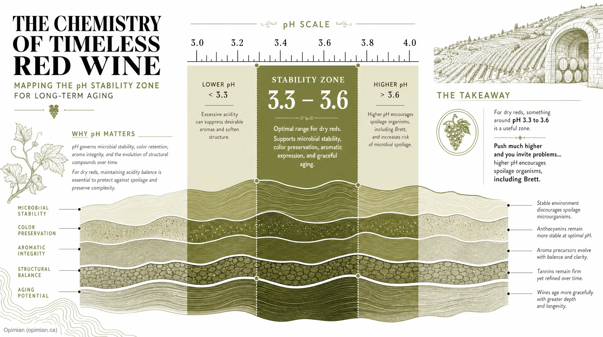 Diagram titled "THE CHEMISTRY OF TIMELESS RED WINE" showing a pH stability zone with 3.3 - 3.6 for long-term aging and wine ph guidance for dry reds.