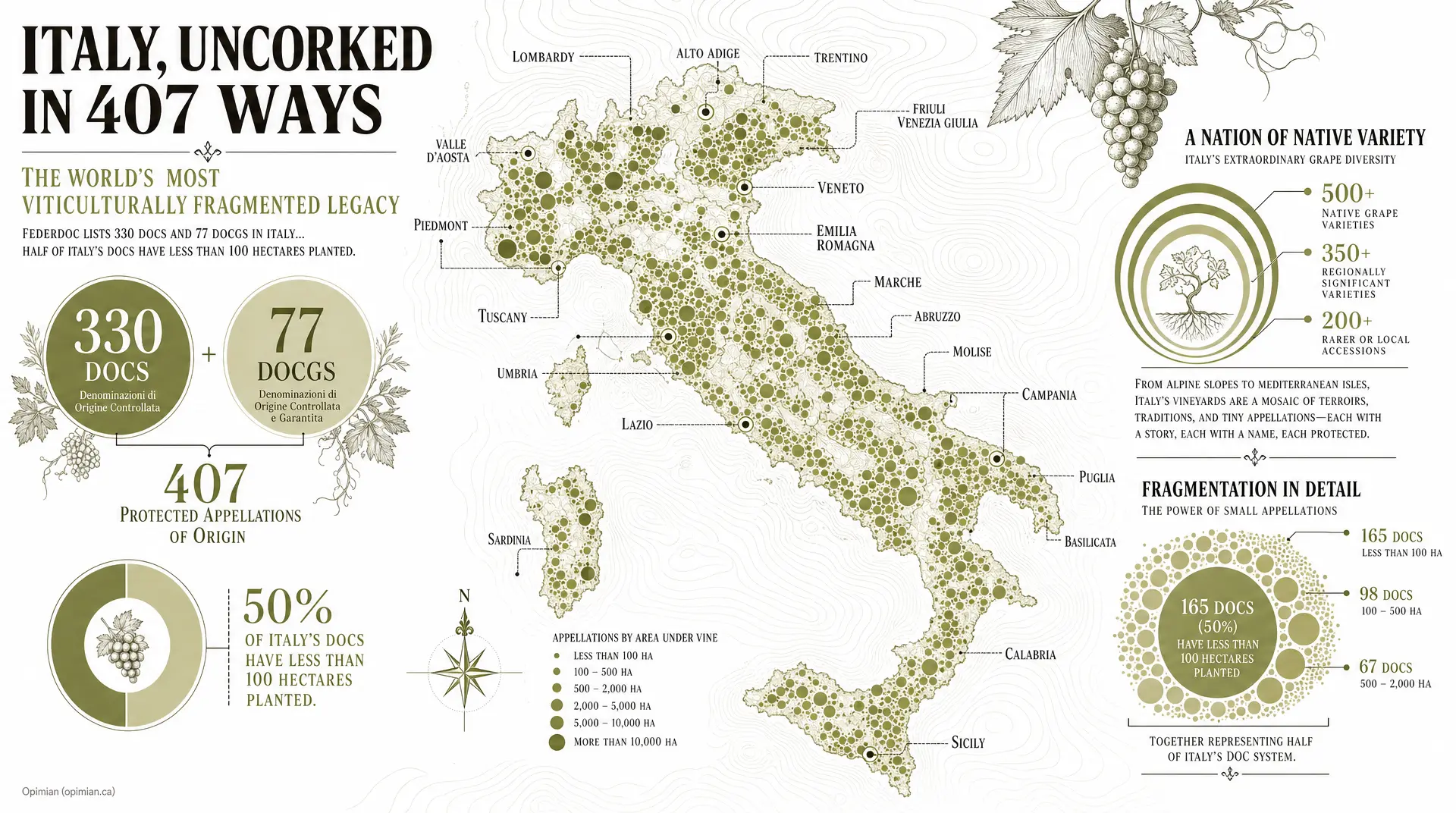 Stylized map of Italy with green grape icons, showing 500+ native grape varieties and protected appellations for Italian wine regions.